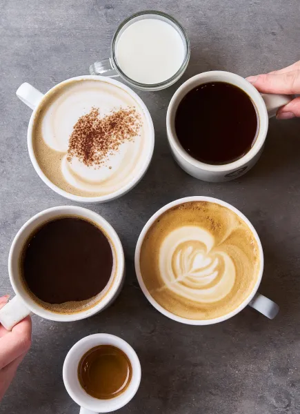 Pangaea Coffee